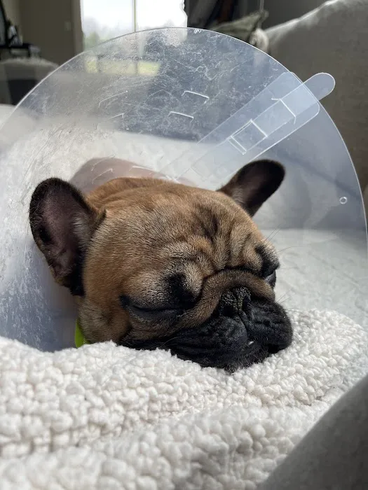 IndyVet Emergency & Specialty Hospital Picture 10