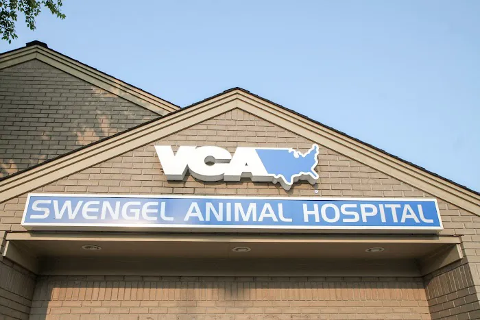 VCA Swengel Animal Hospital Picture 6