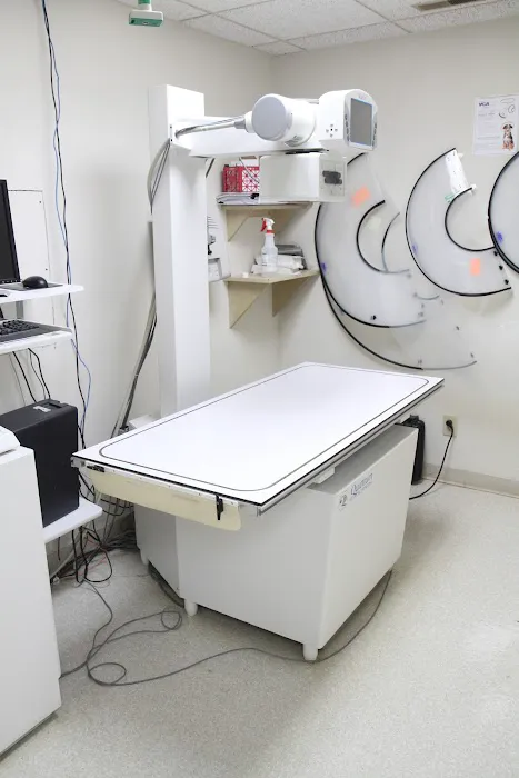 VCA Swengel Animal Hospital Picture 8