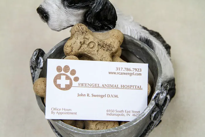 VCA Swengel Animal Hospital Picture 7
