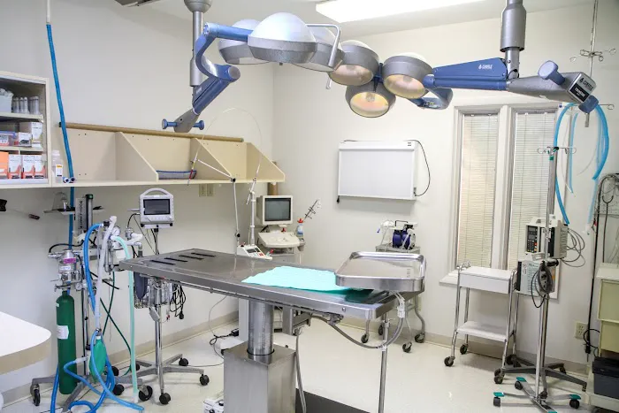 VCA Swengel Animal Hospital Picture 9