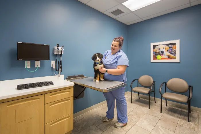 Veterinary Specialty & Emergency Care West - Open 24 Hours Picture 1