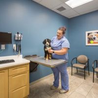 Veterinary Specialty & Emergency Care West - Open 24 Hours ico