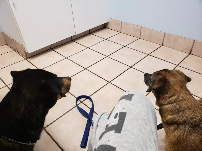 Rockville Road Animal Hospital Picture 3