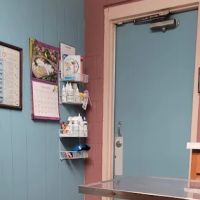 West 56th St Vet Hospital ico