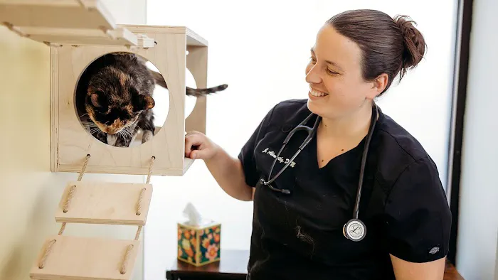 PetVet365 Pet Hospital Indianapolis / Eagle Creek Picture 3