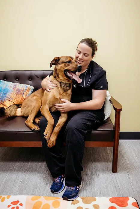 PetVet365 Pet Hospital Indianapolis / Eagle Creek Picture 6