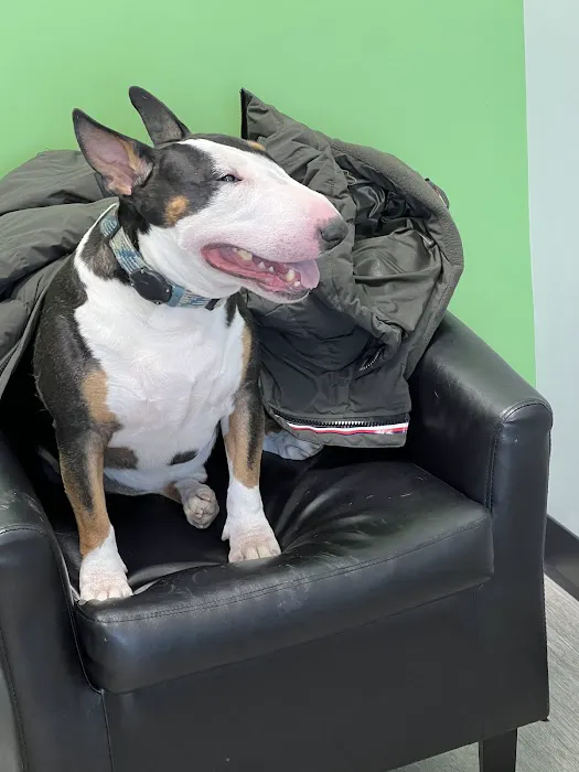 PetVet365 Pet Hospital Indianapolis / Eagle Creek Picture 7