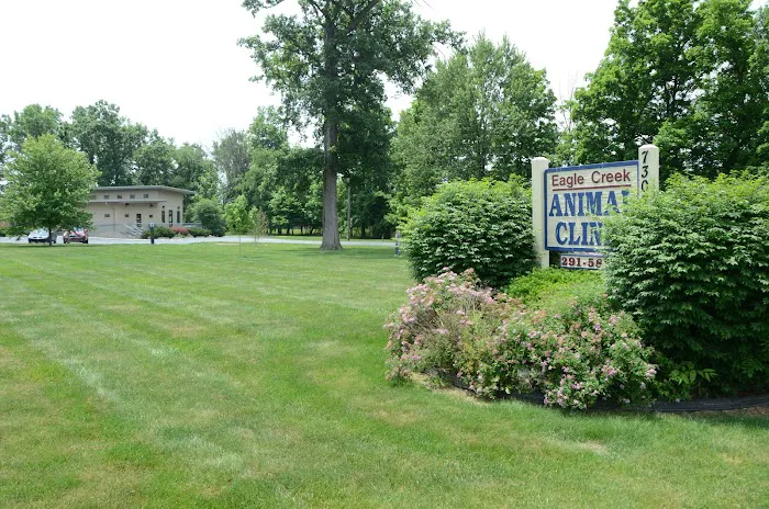 Eagle Creek Animal Clinic Picture 9