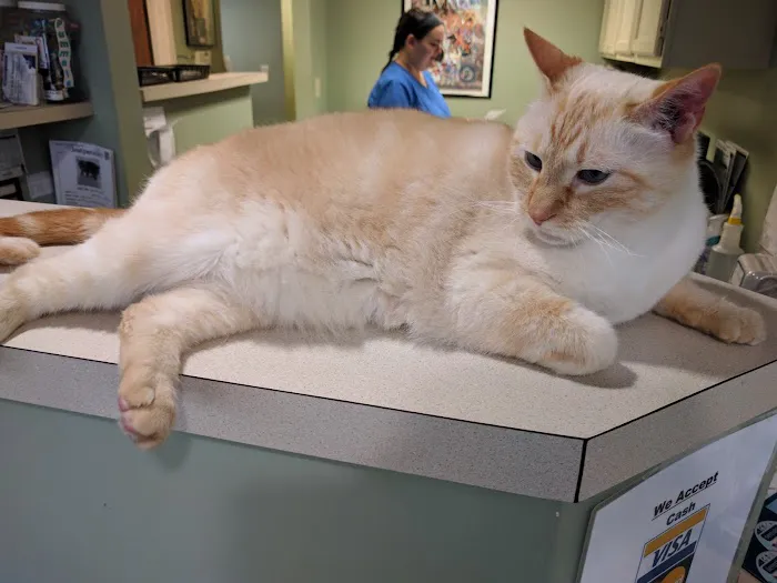 Irvington Pet Clinic Picture 3