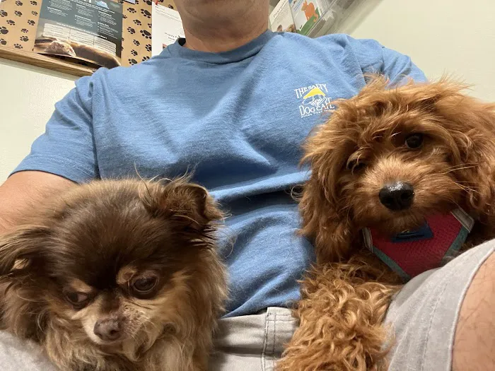 Irvington Pet Clinic Picture 10