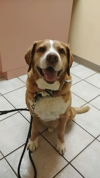 Animal Medical Center Picture 3