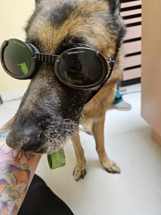 Animal Medical Center Picture 7