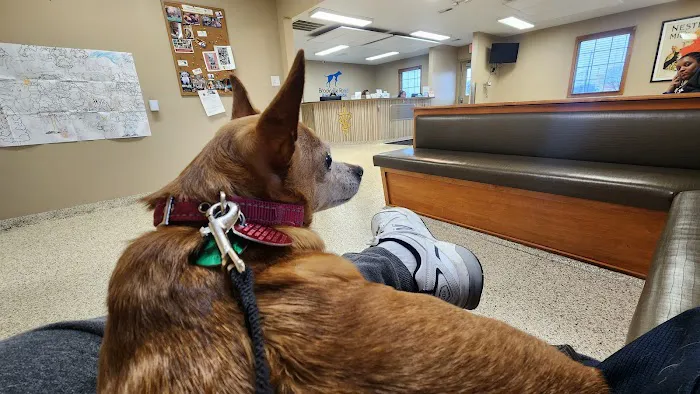 Brookville Road Animal Hospital Picture 3