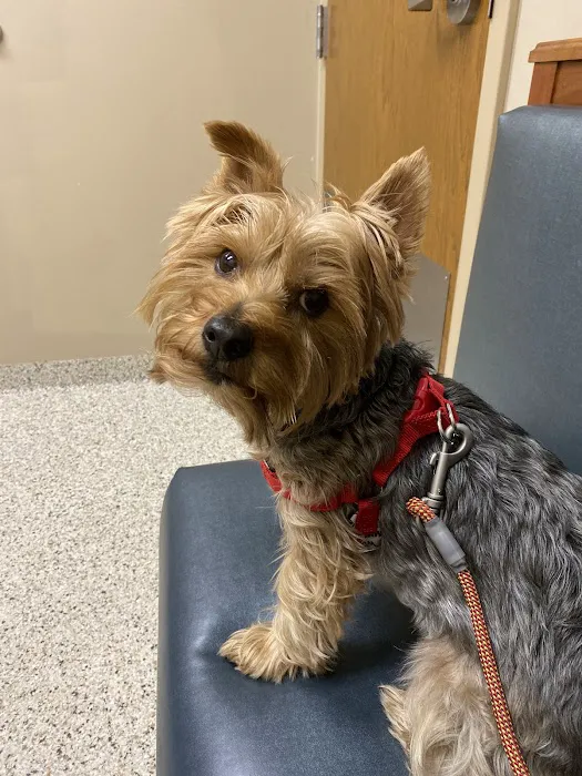 Brookville Road Animal Hospital Picture 1
