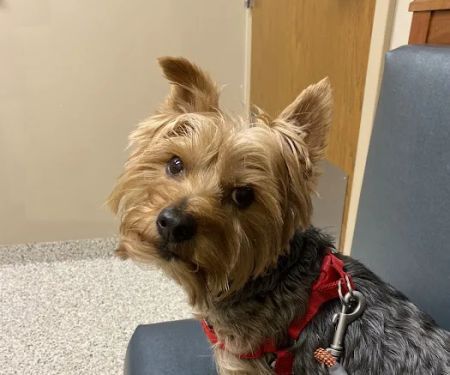 Brookville Road Animal Hospital