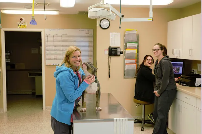 Brookville Road Animal Hospital Picture 9