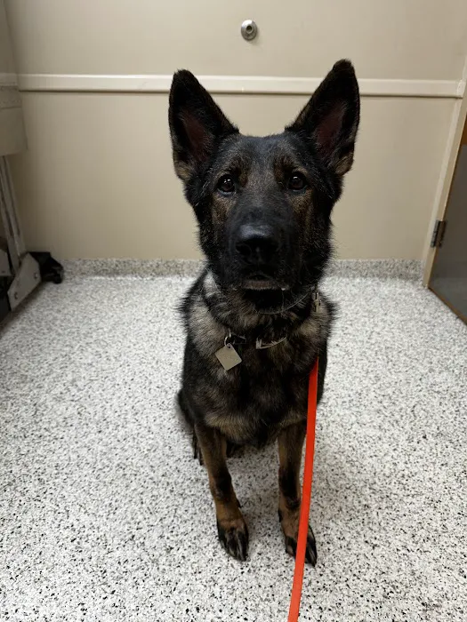 Brookville Road Animal Hospital Picture 10