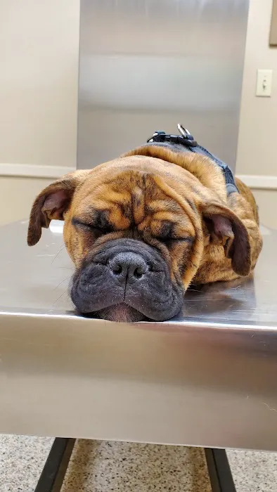 Brookville Road Animal Hospital: Crowe Jennifer DVM Picture 1