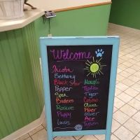 30th Street Animal Hospital ico