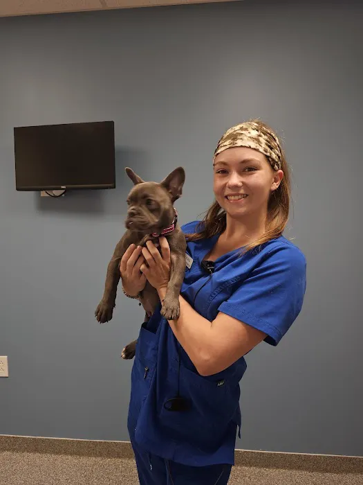 30th Street Animal Hospital Picture 5