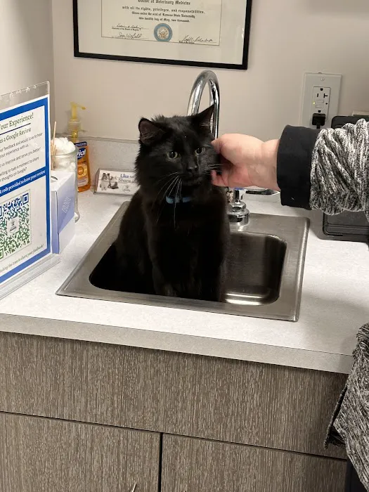 30th Street Animal Hospital Picture 6