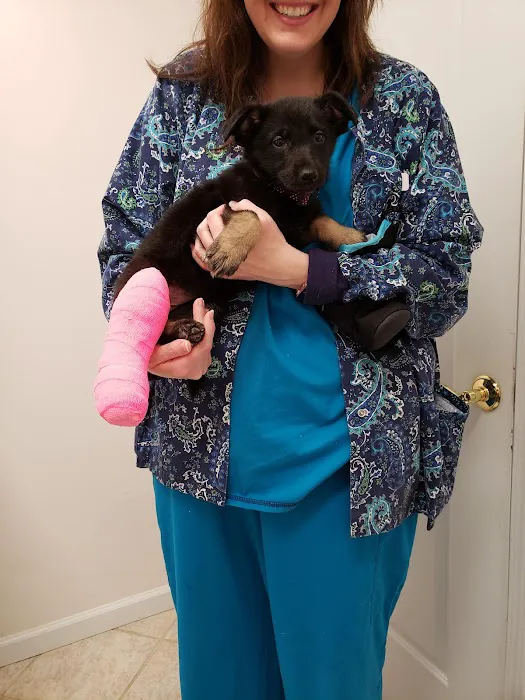 Above & Beyond Animal Care Picture 2