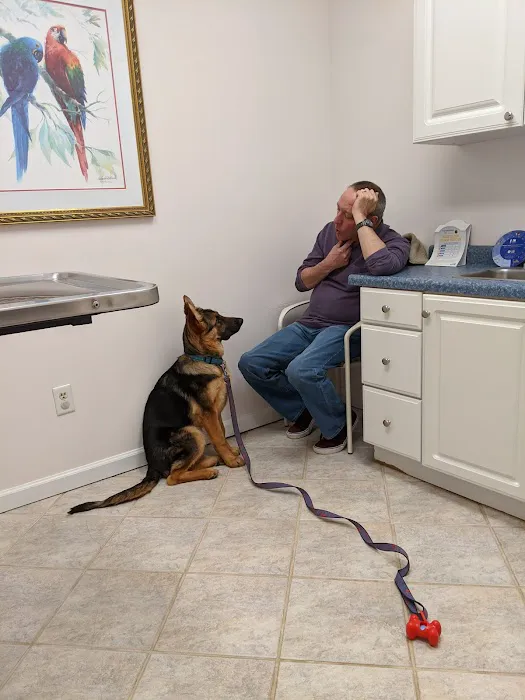 Above & Beyond Animal Care Picture 4