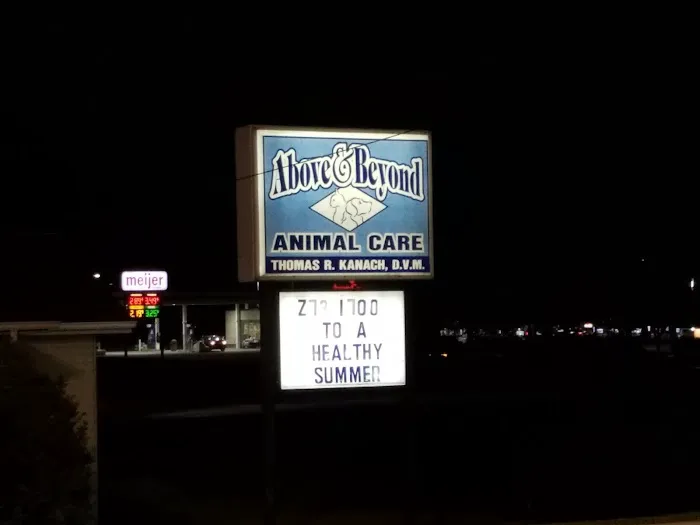 Above & Beyond Animal Care Picture 5
