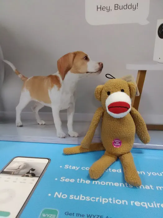 Banfield Pet Hospital Picture 10