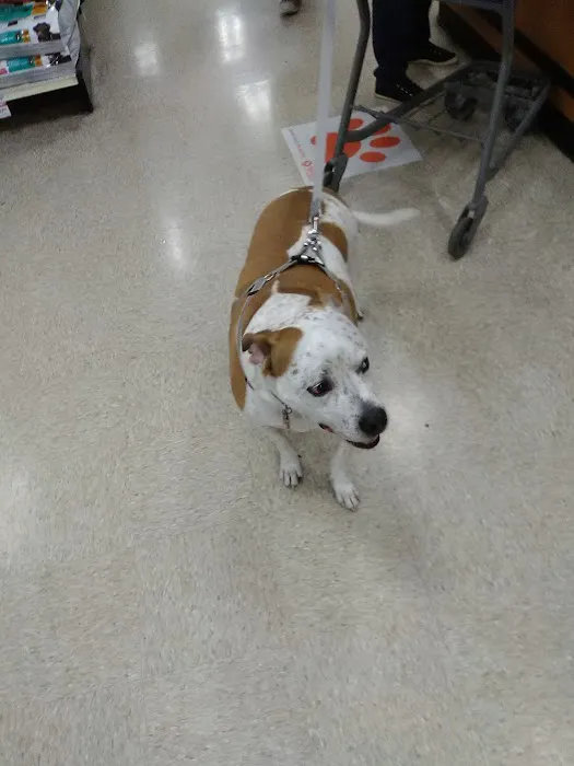 Banfield Pet Hospital Picture 8