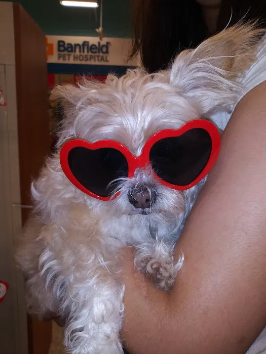 Banfield Pet Hospital Picture 9
