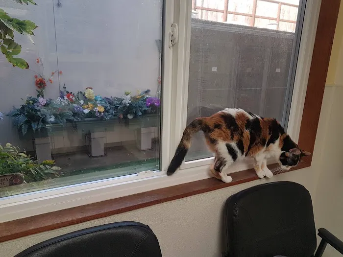 Arguello Pet Hospital Picture 1