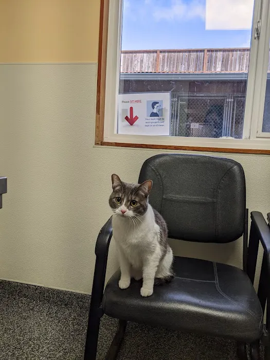Arguello Pet Hospital Picture 7