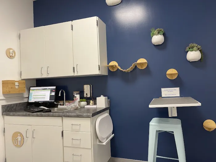 Polk Street Animal Hospital Picture 2