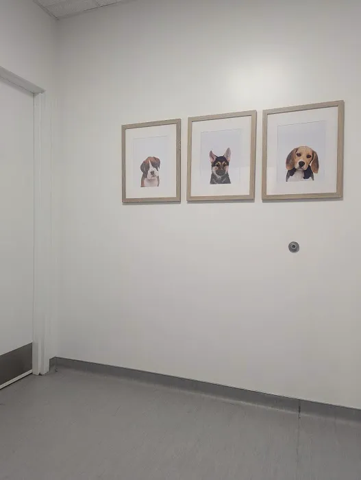Polk Street Animal Hospital Picture 9