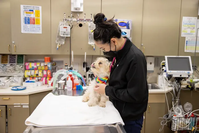 San Francisco Animal Medical Center Picture 2
