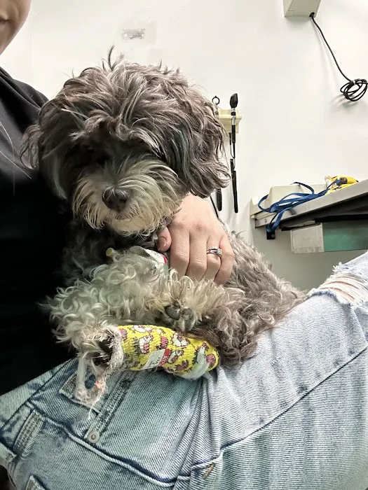San Francisco Animal Medical Center Picture 3