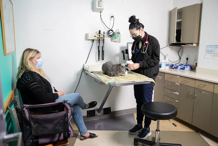 San Francisco Animal Medical Center Picture 5