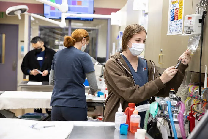 San Francisco Animal Medical Center Picture 6
