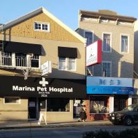 Banfield Pet Hospital ico