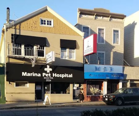 Banfield Pet Hospital