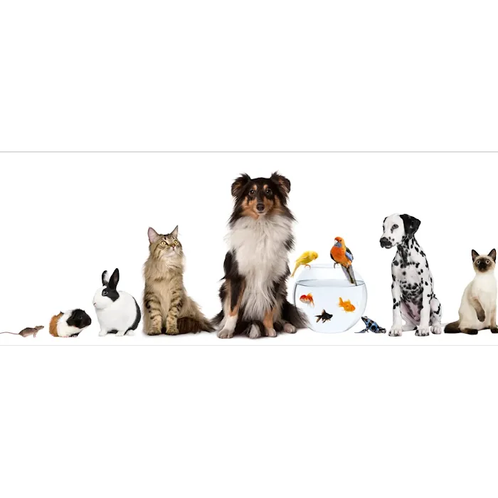 Marina Pet Hospital Picture 2