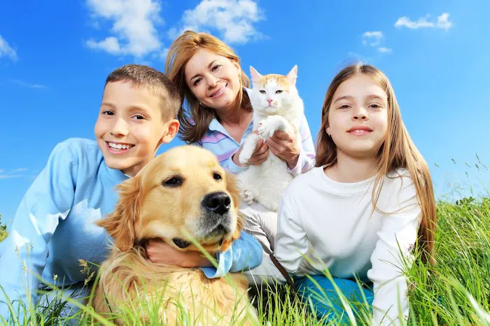 Marina Pet Hospital Picture 1
