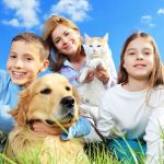 Marina Pet Hospital