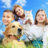 Marina Pet Hospital ico