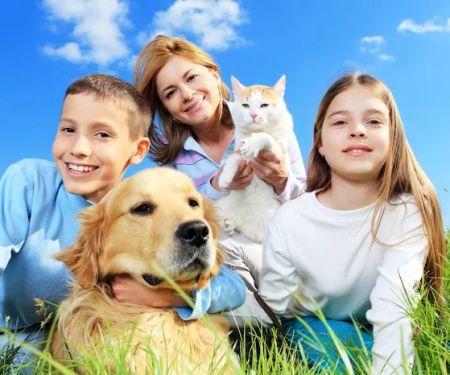 Marina Pet Hospital