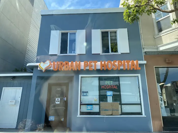 Urban Pet Hospital Picture 1