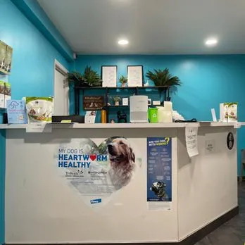 Urban Pet Hospital Picture 4