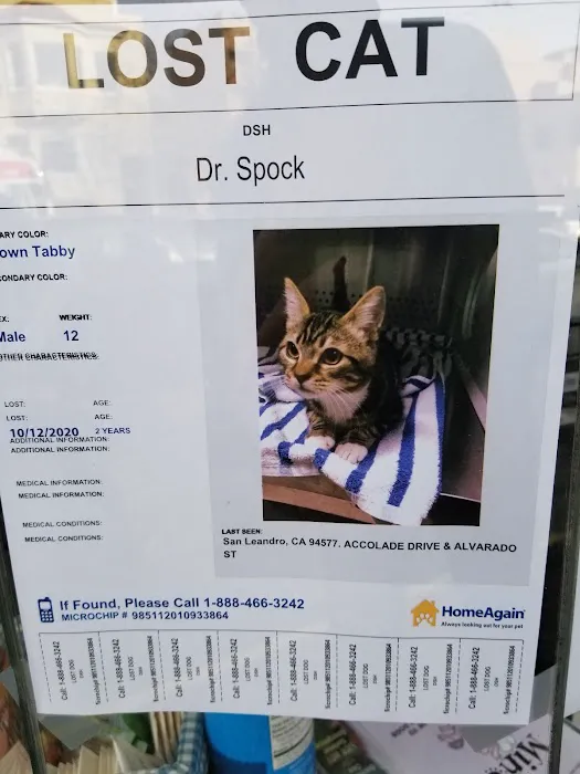 Presidio Way Pet Hospital Picture 1